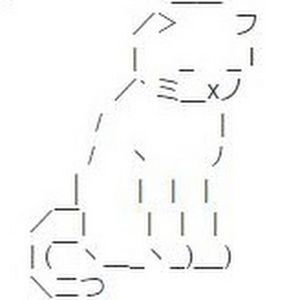 Meet your Posher, Molly